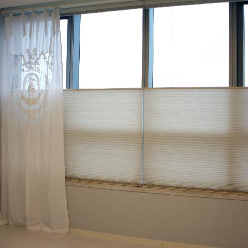 Honeycomb Shade